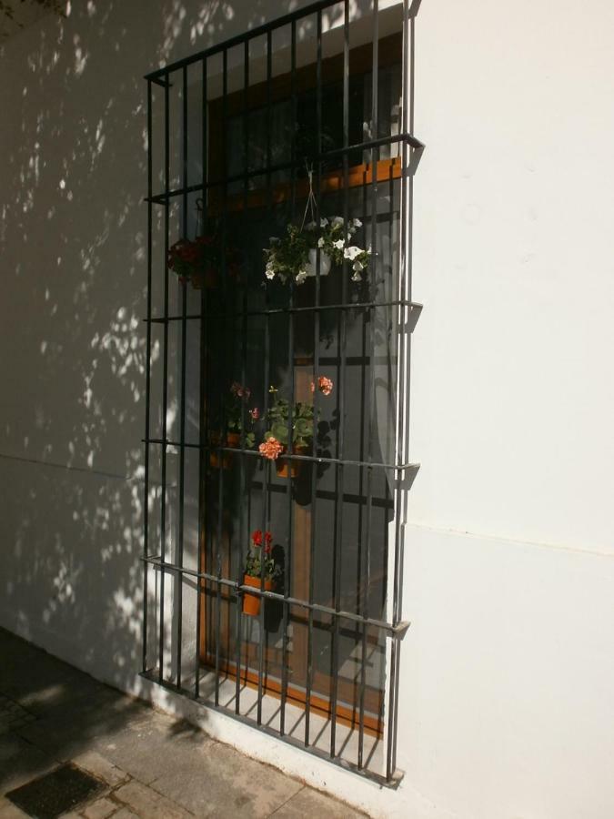 Casa En Plaza De La Merced_Centro Flamenco_Cadix Extérieur photo